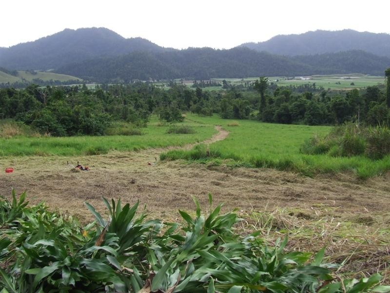 Lot 8 Azzopardi Road, Japoonvale, Innisfail QLD 4860