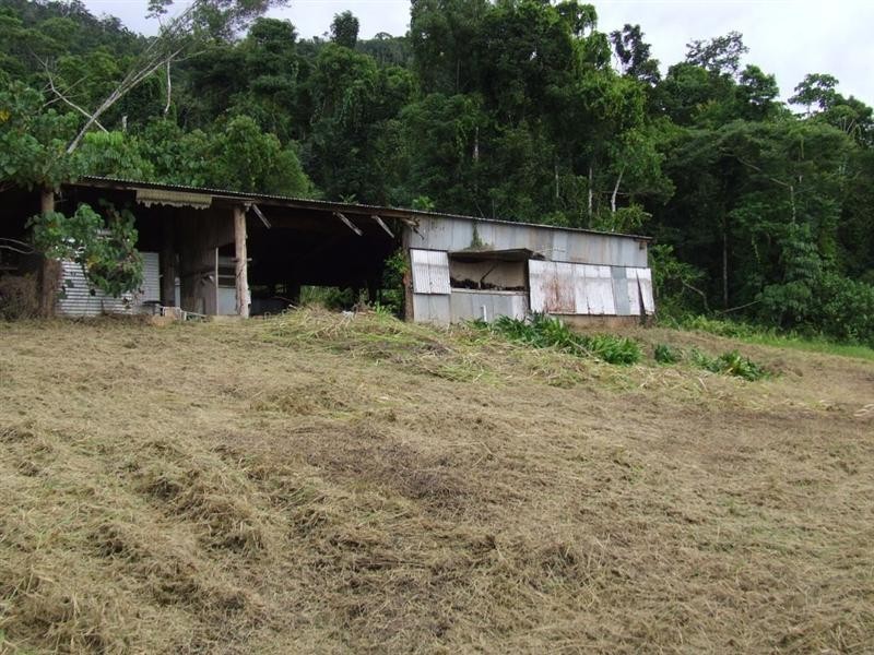 Lot 8 Azzopardi Road, Japoonvale, Innisfail QLD 4860