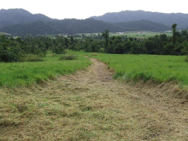 Lot 8 Azzopardi Road, Japoonvale, Innisfail QLD 4860