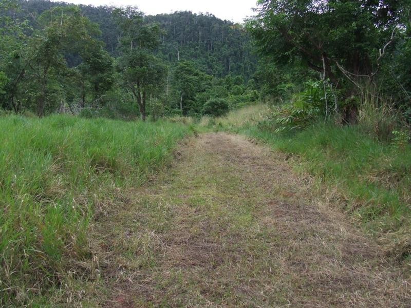 Lot 8 Azzopardi Road, Japoonvale, Innisfail QLD 4860