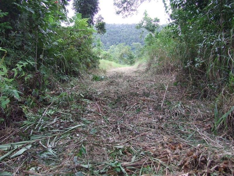 Lot 8 Azzopardi Road, Japoonvale, Innisfail QLD 4860