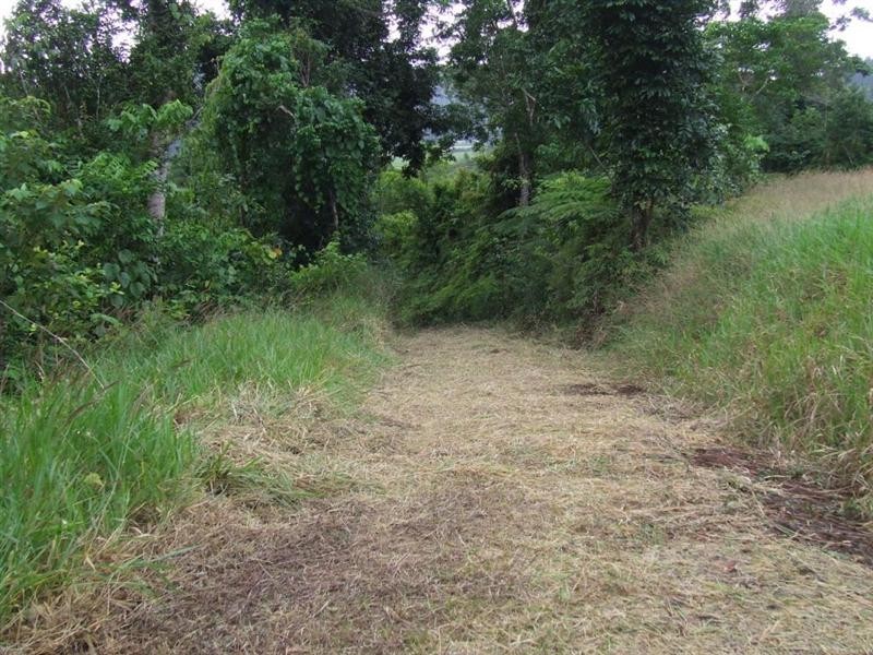 Lot 8 Azzopardi Road, Japoonvale, Innisfail QLD 4860