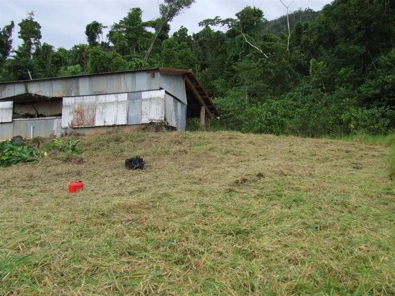 Lot 8 Azzopardi Road, Japoonvale, Innisfail QLD 4860