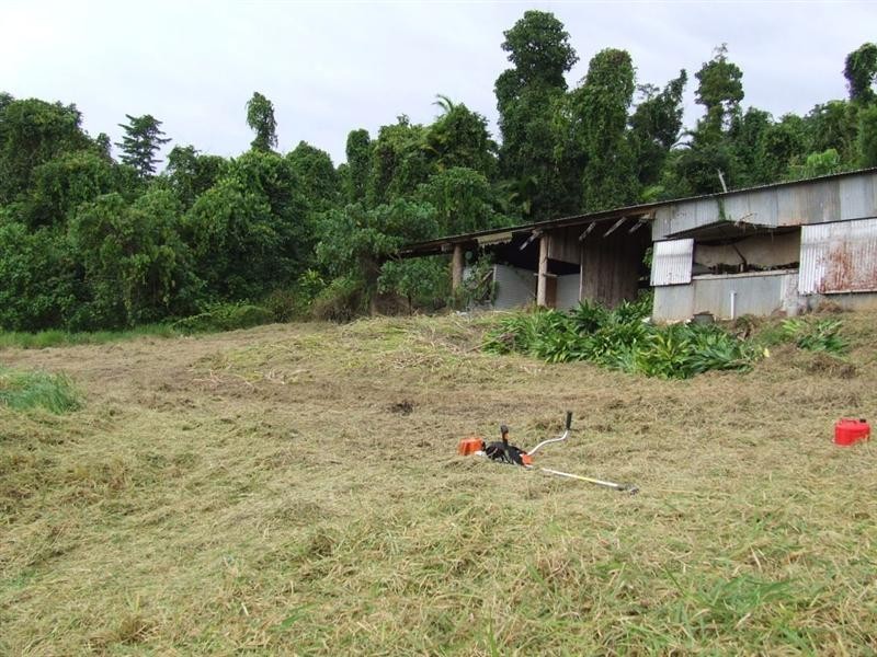Lot 8 Azzopardi Road, Japoonvale, Innisfail QLD 4860