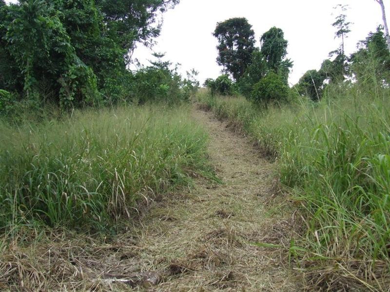 Lot 8 Azzopardi Road, Japoonvale, Innisfail QLD 4860