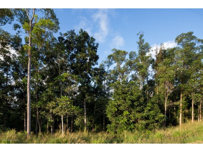 Lot 5 Donkin Road, Utchee Creek QLD 4871