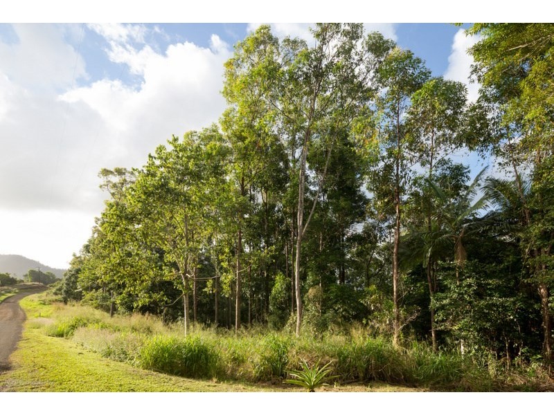 Lot 5 Donkin Road, Utchee Creek QLD 4871