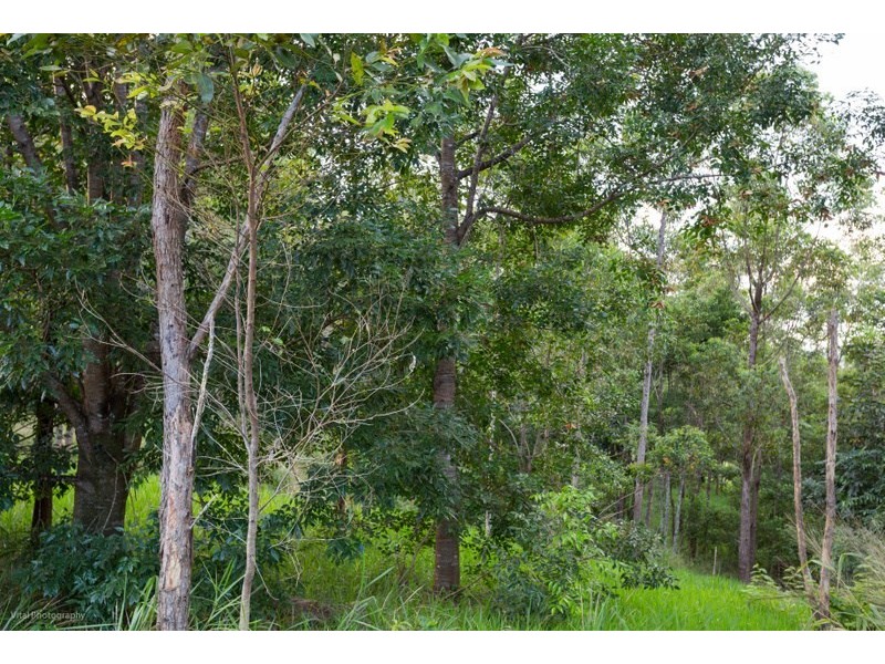 Lot 5 Donkin Road, Utchee Creek QLD 4871