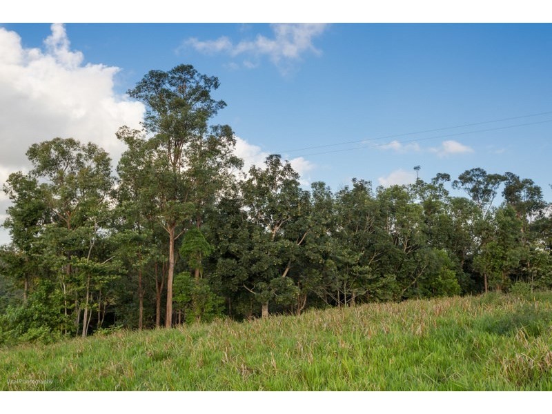 Lot 5 Donkin Road, Utchee Creek QLD 4871