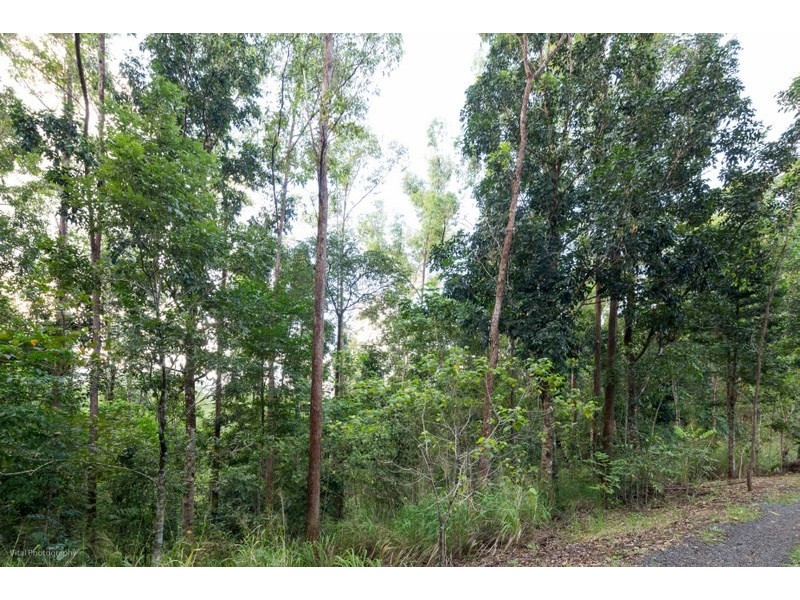 Lot 5 Donkin Road, Utchee Creek QLD 4871