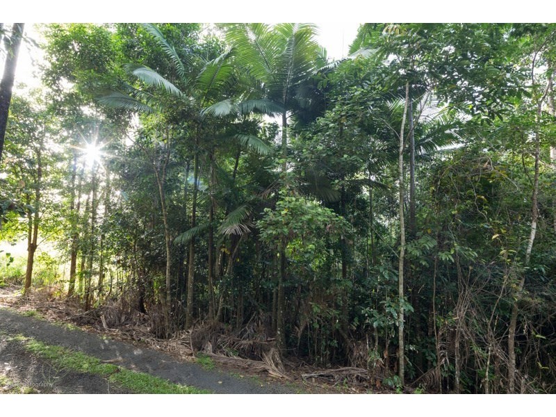 Lot 5 Donkin Road, Utchee Creek QLD 4871