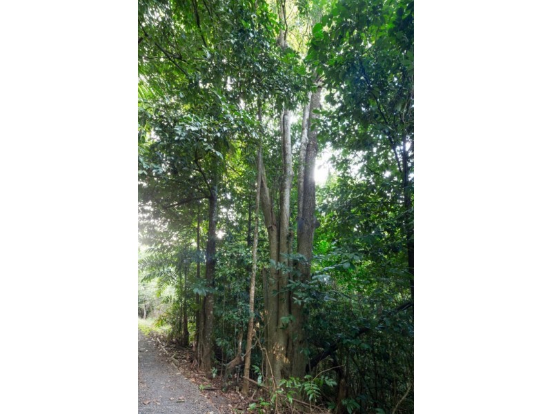 Lot 5 Donkin Road, Utchee Creek QLD 4871
