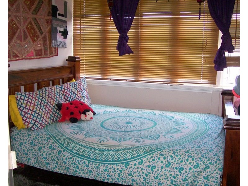 31 Scheu Street, East Innisfail QLD 4860