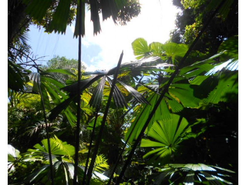 886 Mourilyan Harbour, Mourilyan Harbour QLD 4858