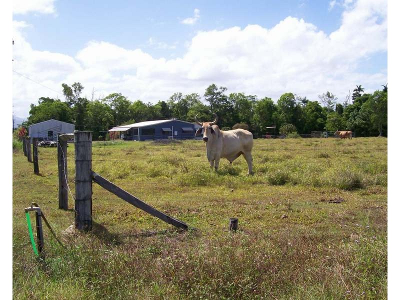 Lot 181 Formosa Road, Silkwood QLD 4856
