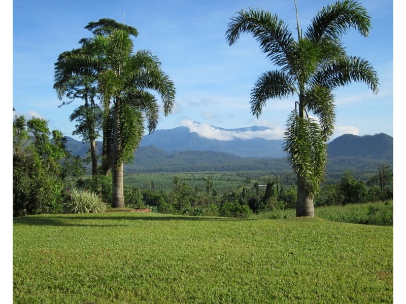 571 Dunne Road, Nerada QLD 4860