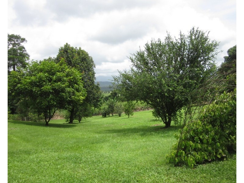 571 Dunne Road, Nerada QLD 4860