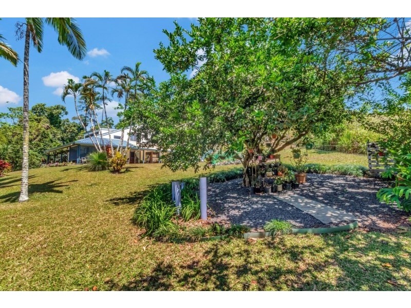 548 Palmerston Highway, Pin Gin Hill QLD 4860