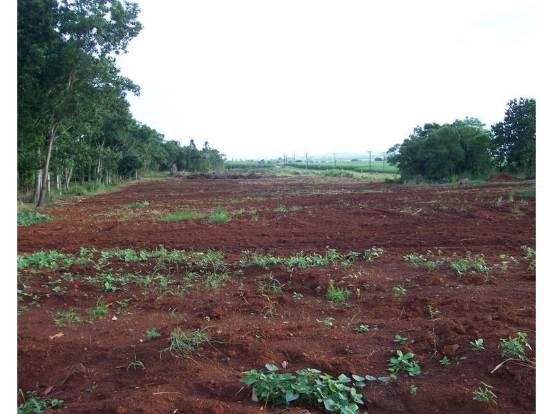 34 Dinner Creek Road, Garradunga QLD 4860