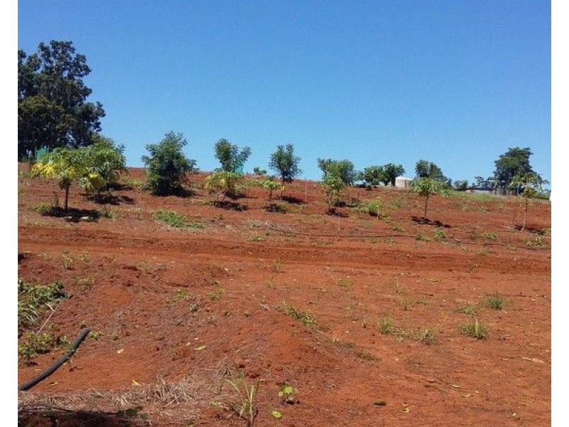 34 Dinner Creek Road, Garradunga QLD 4860