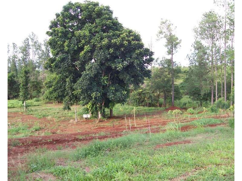 34 Dinner Creek Road, Garradunga QLD 4860