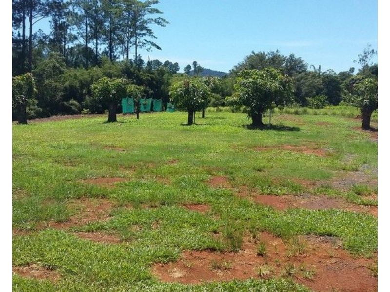 34 Dinner Creek Road, Garradunga QLD 4860