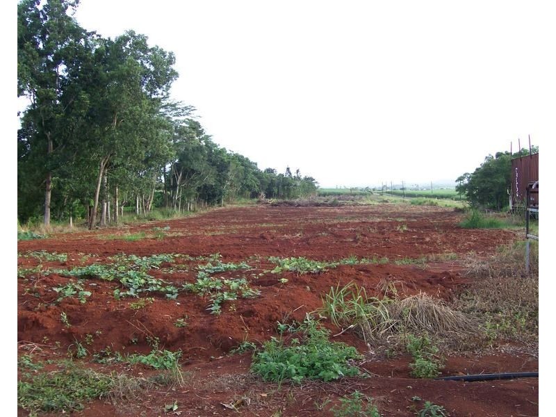 34 Dinner Creek Road, Garradunga QLD 4860