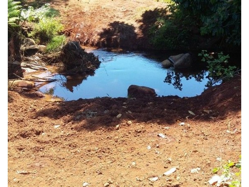 34 Dinner Creek Road, Garradunga QLD 4860