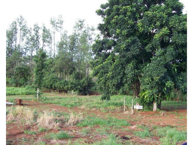 34 Dinner Creek Road, Garradunga QLD 4860