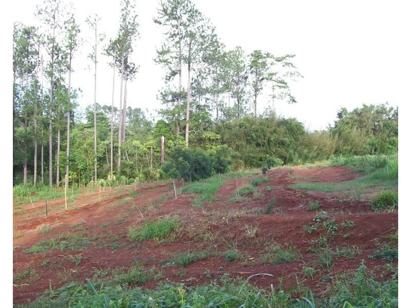 34 Dinner Creek Road, Garradunga QLD 4860