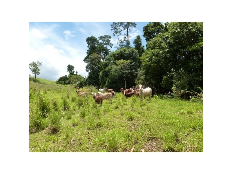 66 STOTTER, Stoters Hill QLD 4860