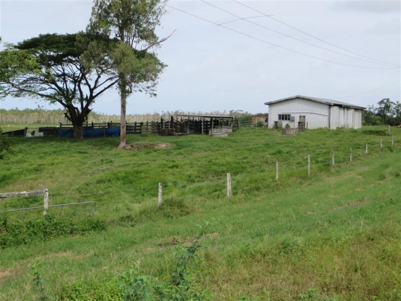 14 Bliss Street, South Innisfail QLD 4860