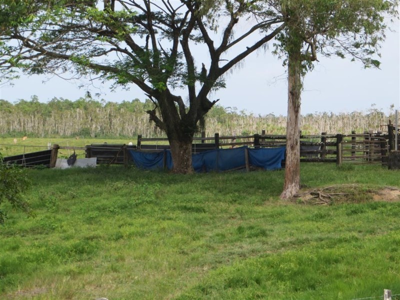 14 Bliss Street, South Innisfail QLD 4860