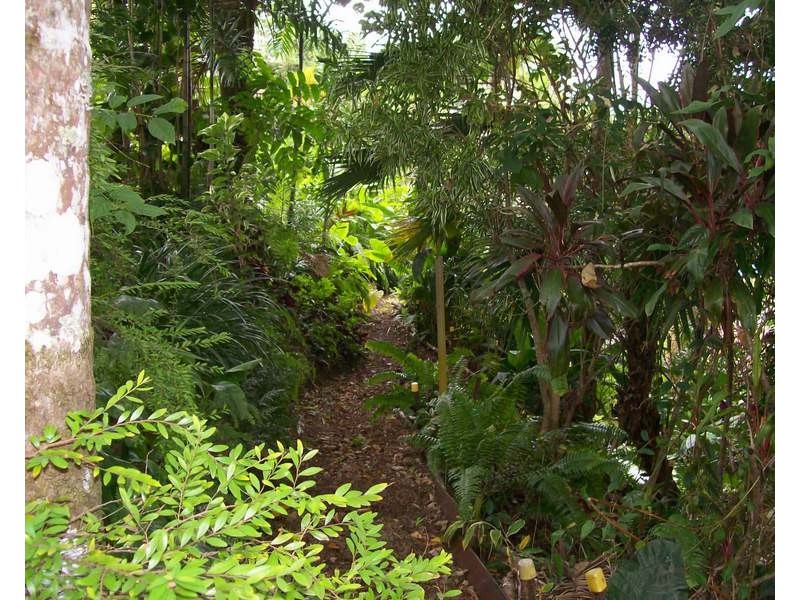 24 Mourilyan Road, East Innisfail QLD 4860