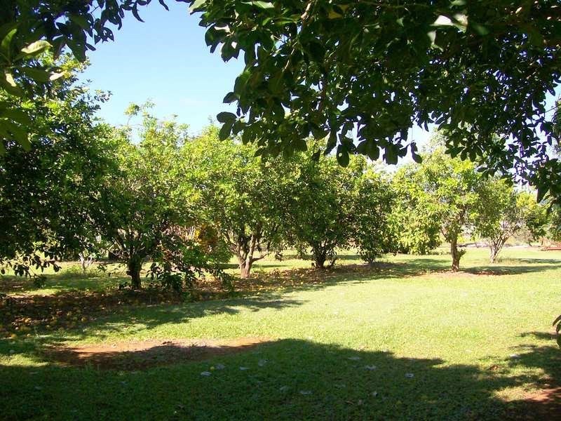 3 Brincat Road, Utchee Creek QLD 4871