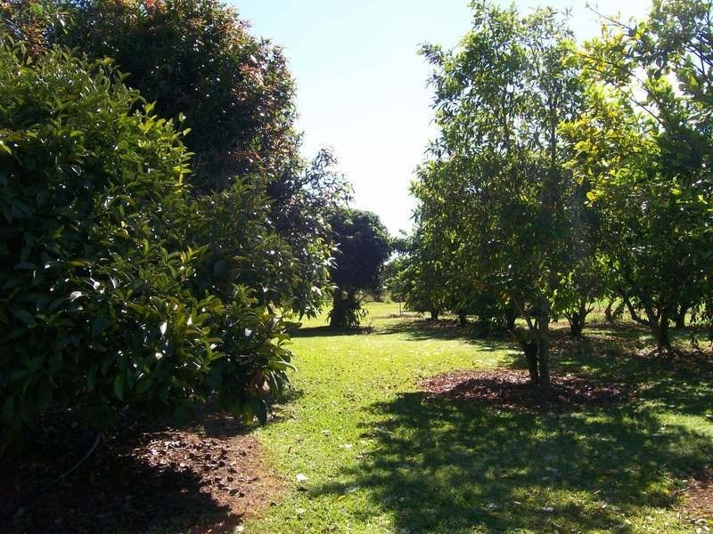 3 Brincat Road, Utchee Creek QLD 4871