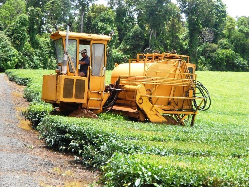 0 PALMERSTON, East Palmerston QLD 4860