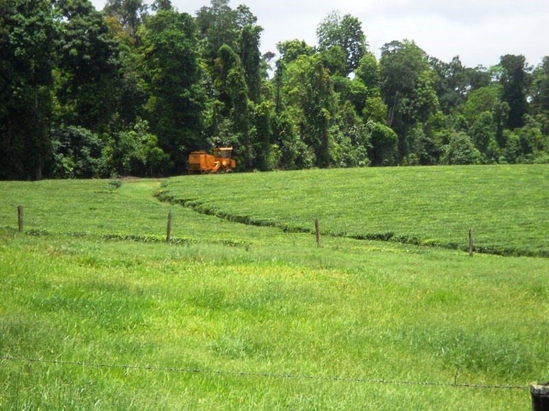 0 PALMERSTON, East Palmerston QLD 4860