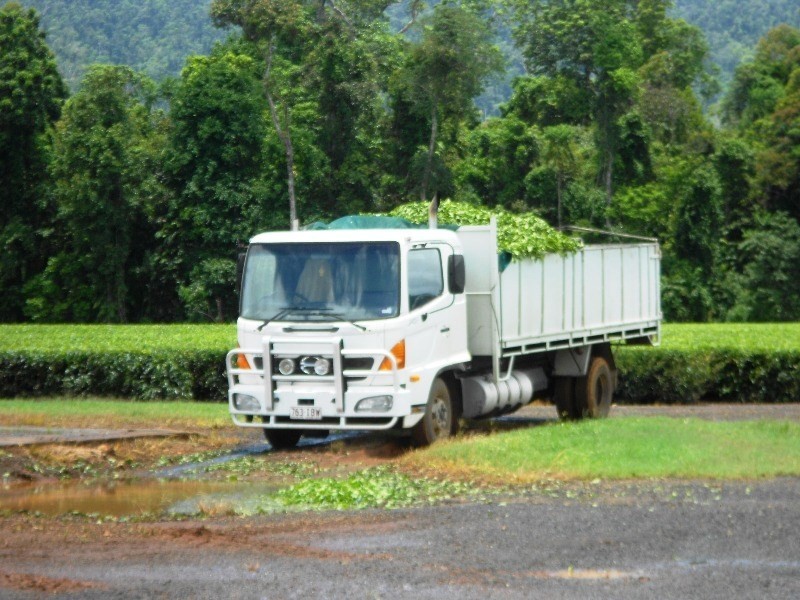 0 PALMERSTON, East Palmerston QLD 4860