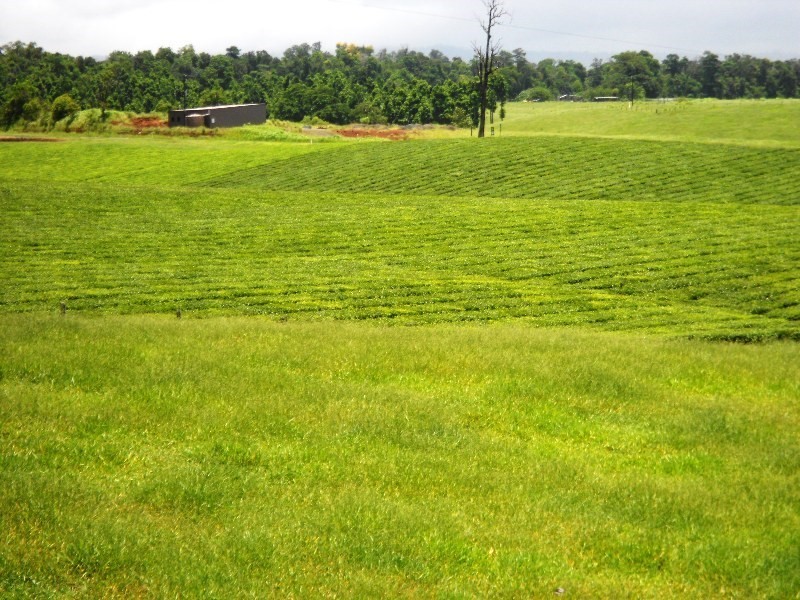 0 PALMERSTON, East Palmerston QLD 4860