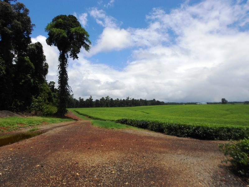 0 PALMERSTON, East Palmerston QLD 4860