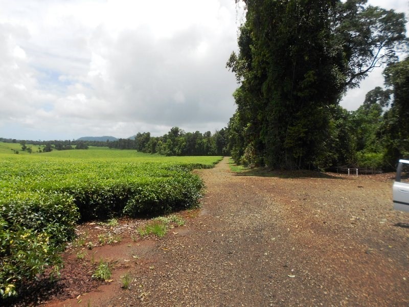 0 PALMERSTON, East Palmerston QLD 4860