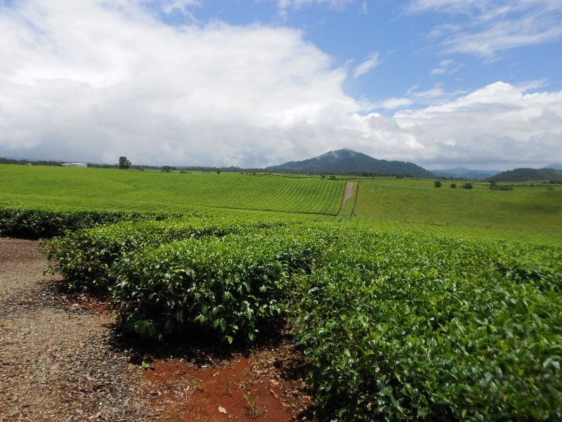 0 PALMERSTON, East Palmerston QLD 4860