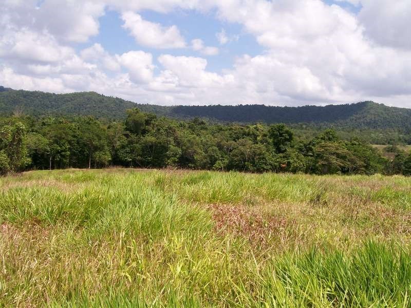 12 Dobbin Road, Warrubullen QLD 4871