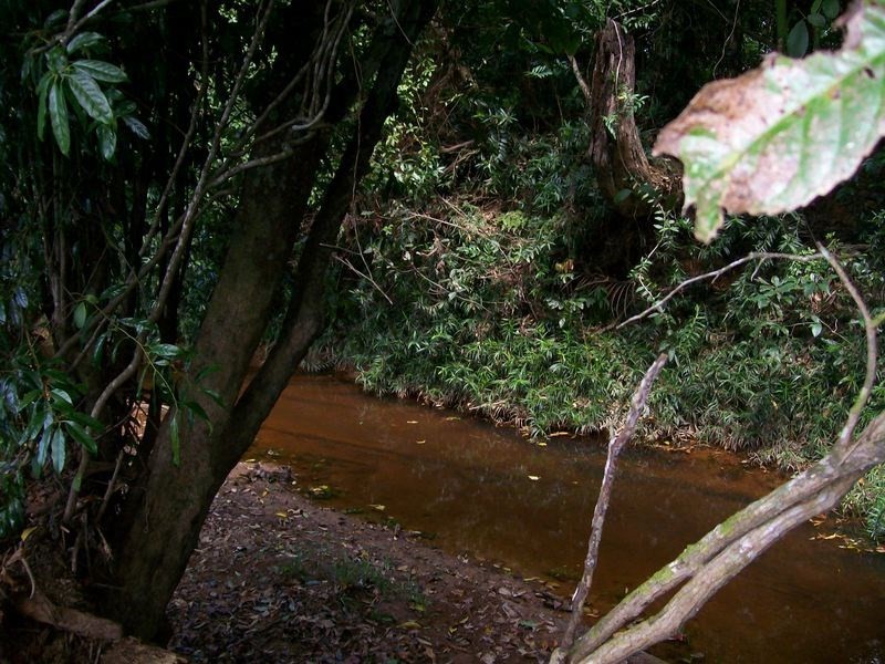 12 Dobbin Road, Warrubullen QLD 4871