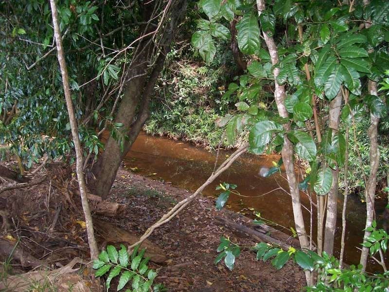 12 Dobbin Road, Warrubullen QLD 4871