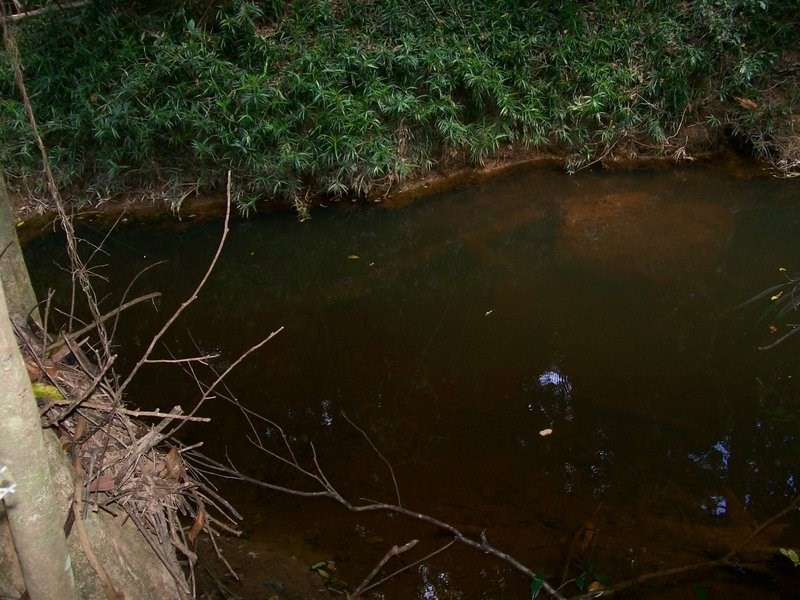 12 Dobbin Road, Warrubullen QLD 4871