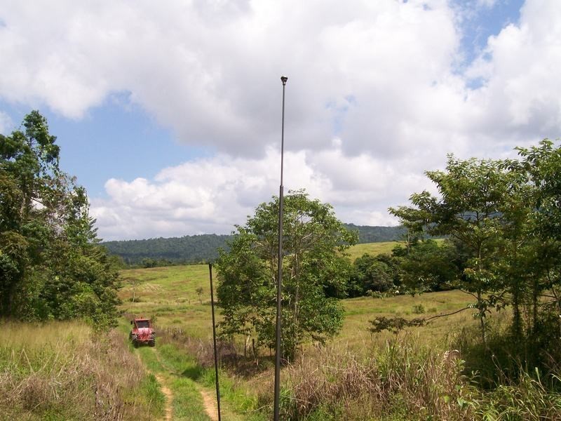 12 Dobbin Road, Warrubullen QLD 4871