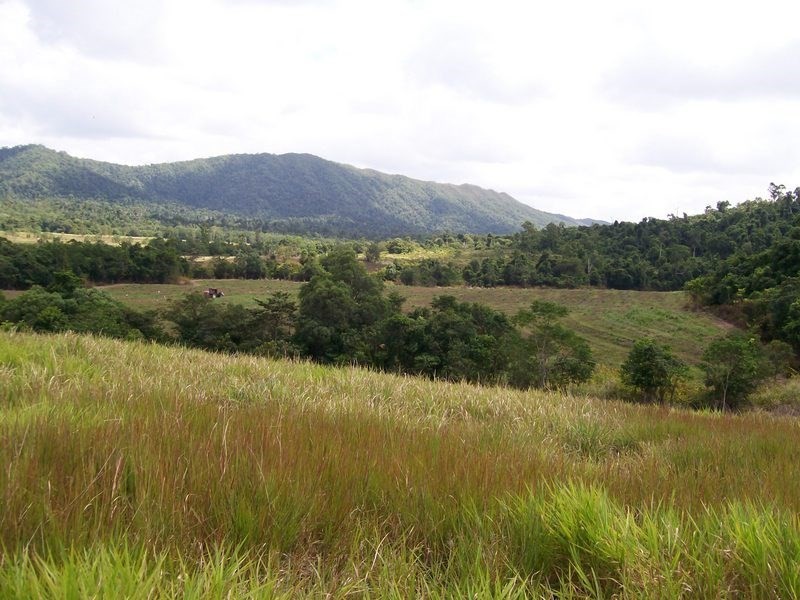 12 Dobbin Road, Warrubullen QLD 4871