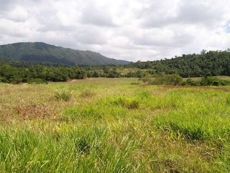 12 Dobbin Road, Warrubullen QLD 4871